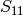 S_{11}